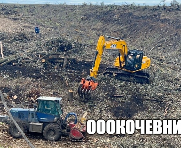 Вырубка деревьев при строительстве разных объектов  в Москве