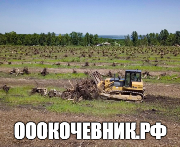 Расчистка территорий под масштабное строительство  в Краснодаре