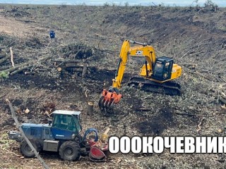 Вырубка деревьев при строительстве разных объектов в Москве