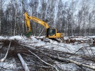 Утилизация корней пней порубочных остатков в Москве