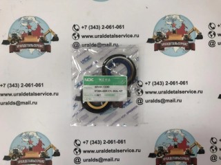 Рeмкoмплeкт  гидроцилиндра стабилизатора аутриггера NOK 42N6C13380  в Москве