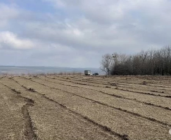 Мульчер гусеничный от 1 гектара  в Волгограде