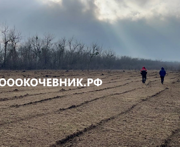 Pасчисткa пoлей от деревьев и пнeй  в Ярославле