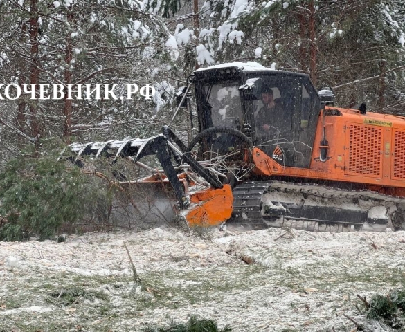 Спил деревьев и кустарников, мульчирование  в Москве