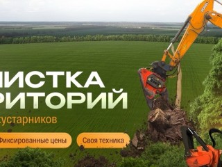 Расчистка участка от деревьев и кустарников в Орле